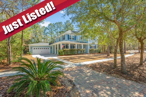 310 Blackjack Oak Drive,  Richmond Hill, GA 31324