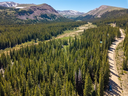 5680 Timberline Terrace,  Fairplay, CO 80440