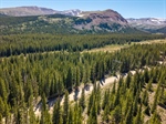 4 5680-Timberline-Terrace-14