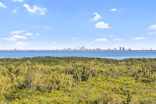 10851 Mangrove Cay Ln NE Apt 1112,  Saint Petersburg, FL 33716