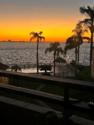 103 1st St E Apt 216,  Tierra Verde, FL 33715