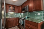 Newly renovated kitchen with GE Profile appliances