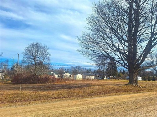 Blue Water Blvd Lot 249-250,  Lexington, MI 48450
