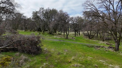 8157 Hammonton Smartville Rd,  Smartsville, CA 95977