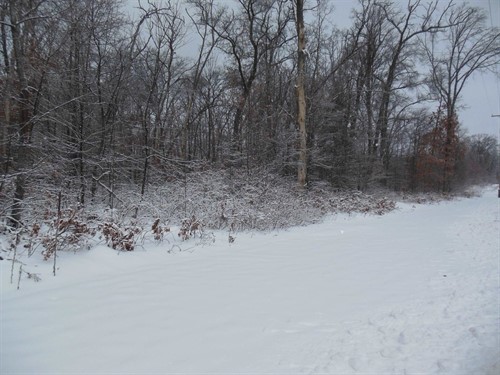 10 Acres N Eberhart,  Harrison, MI 48625