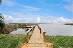 43-web-or-mls-2316_Griffin_Rd__Leesburg__FL_34748_KUM09853
