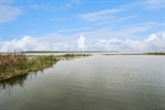 47-web-or-mls-2316_Griffin_Rd__Leesburg__FL_34748_KUM09865