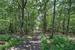 Long  Private Driveway
