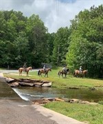 Trail Rides
