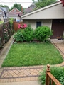 backyard 2
