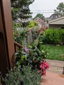 Summer Photos