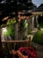 backyard night 2