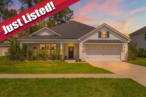 71 Calhoun Lane, Richmond Hill, GA 31324