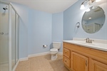 Lower Level Bathroom