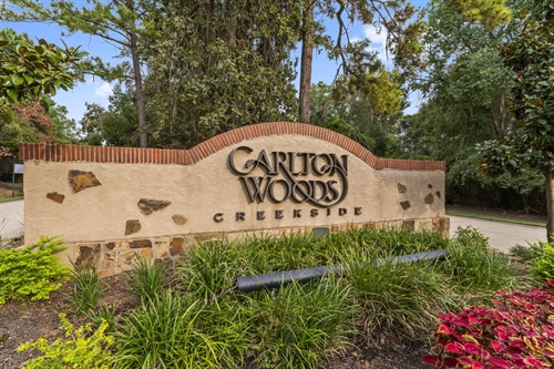 262 S Fazio Way, The Woodlands, TX 77389