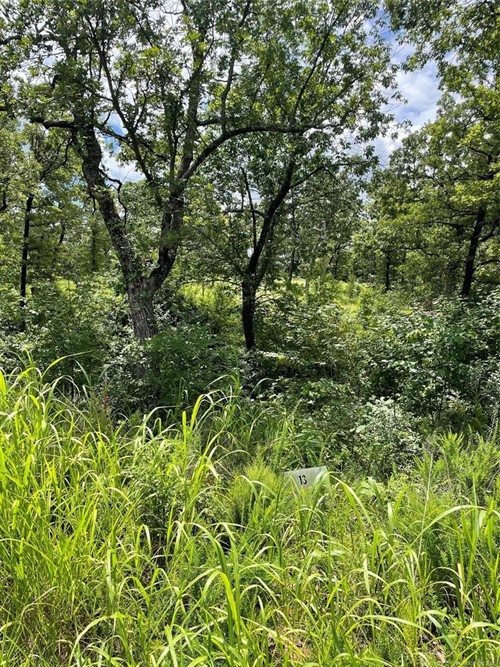 13 S Scissortail,  Sulphur, OK 73086