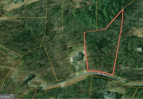 Mill Trace Ct,  Cleveland, GA 30528