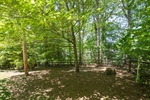 Fenced back yard