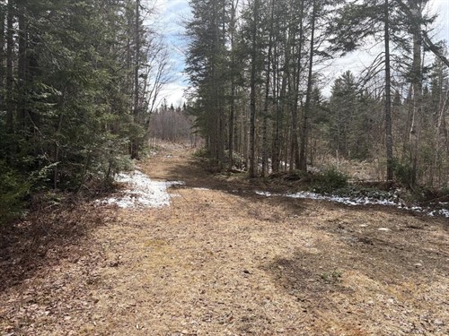 339 Long Pond Rd,  Jackman, ME 04945