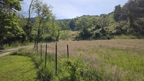 396 & 407 Spicewood Trail,  Mars Hill, NC 28754