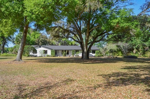3636 Lake Buynak Rd,  Windermere, FL 34786