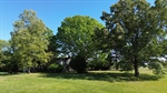DJI_0397