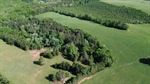 DJI_0405
