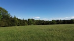 DJI_0386