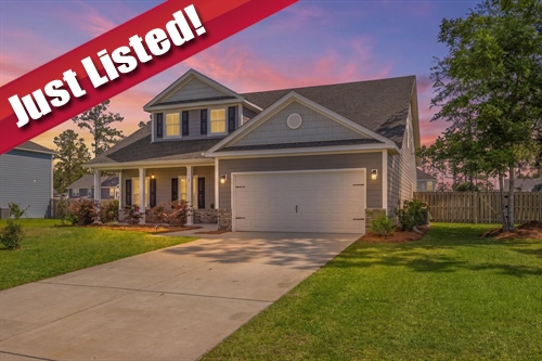 165 Foxtail Drive,  Richmond Hill, GA 31324