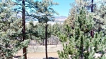 39-Alta-Vista-05072026_172750