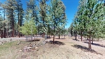 39-Alta-Vista-05082026_130121