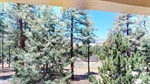 39-Alta-Vista-05082026_130843