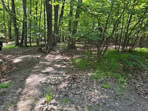 2145 Elkhorn Way,  Farwell, MI 48622