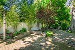 Rear yard