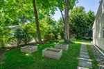 Rear yard