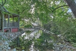 715 Carson Creek SE-48