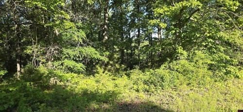 Lakepointe Dr Lot 25,  Flippin, AR 72634
