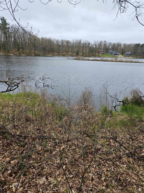 Standel Lot 7,  Harrison, MI 48625