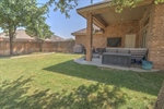 Back Yard View
