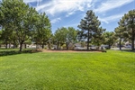 South Valley Ranch 5