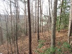 Lone Rock Ct,  Pickens, SC 29671