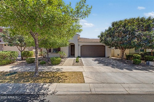 9919 E Thornbush Ave,  Mesa, AZ 85212