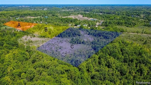 Vacant 0000 Auten Rd Parcel B,  Groveland Township, MI 48462