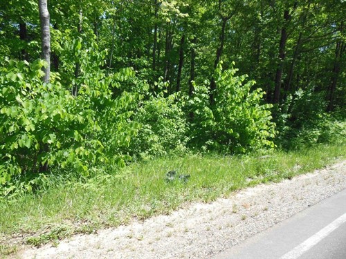 Rodgers Lot 26,  Harrison, MI 48625