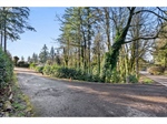 LakeLotforReyesRealEstate5