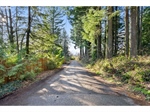 LakeLotforReyesRealEstate3