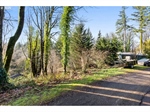 LakeLotforReyesRealEstate4