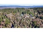 LakeLotforReyesRealEstate9