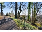 LakeLotforReyesRealEstate7