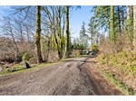 LakeLotforReyesRealEstate8